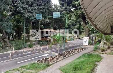 Imagem 3: LOJA DISPONÍVEL PARA LOCAÇÃO NO CORAÇÃO DA FREGUESIA