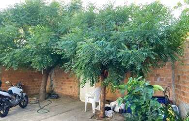 Imagem: A casa possui 2 Dormitórios, 1 Banheiro, 5 Vagas na garagem