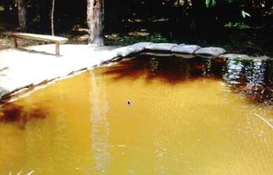 Imagem 4: Terreno na Pista Br 174 km 9,5