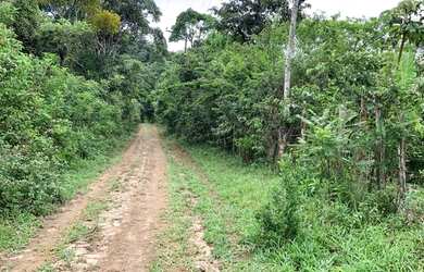 Imagem: O terreno possui 2.500m² de Área e está localizado em Aratuba