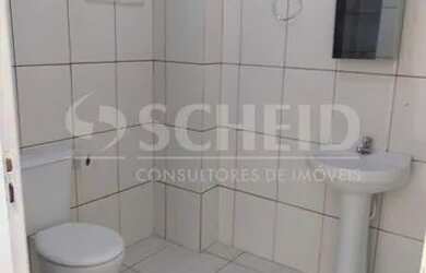 Imagem 6: Lindo Apartamento com um dormitório