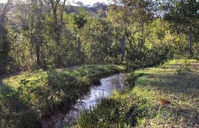 Imagem 9: Linda Fazenda de 57 hectares c/ muita água à venda em Piracema/MG