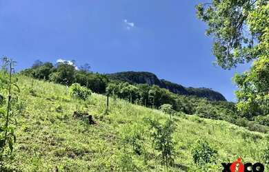 Imagem 14: Sítio / Chácara para Venda em Nova Petrópolis, Linha Pirajá Baixa