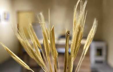 Imagem 15: Casinha de PRAIA ? Tabuba Morro Branco