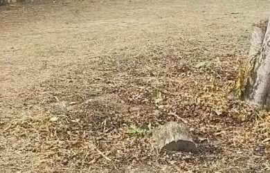 Imagem: O terreno possui 300m² de Área e está localizado em Colônia