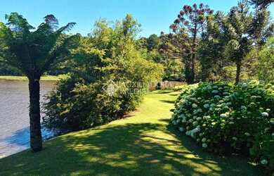 Imagem 14: SÍTIO NO BAIRRO ULISSES DE ABREU EM CANELA