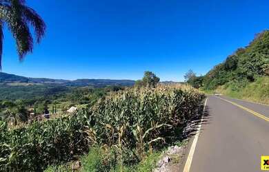 Imagem 7: Sítio / Chácara para Venda em Nova Petrópolis, Nove Colonias