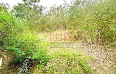 Imagem 6: Terreno à venda, 560 m² por R$ 630.000 - Piratininga - Niterói/RJ -...