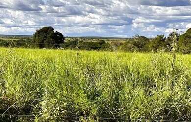 Imagem: A fazenda possui Imóvel novo e está localizado em Plano Diretor