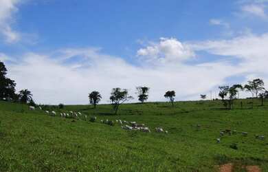 Imagem 3: Terezópolis de Goiás - Fazenda - Rural