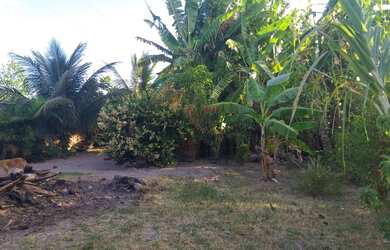 Imagem 3: vendo Terreno no Jiquiá. 337m² de Área