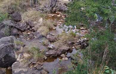 Imagem 15: Fazenda/Sítio/Chácara para venda com 78 alqueires em São Fidélis-RJ