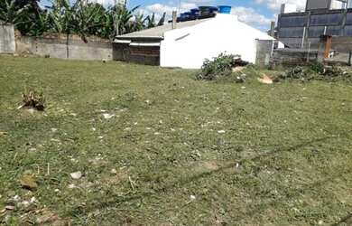 Imagem 7: Capoeiras terreno entre as Avenidas Ivo Silveira e Rua Santos Saraiva