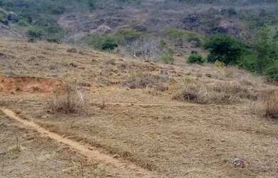 Imagem 6: Fazenda/Sítio/Chácara para venda com 78 alqueires em São Fidélis-RJ