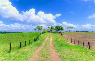 Imagem 7: 100 alqueires por R$6 milhões no Pará no asfalto