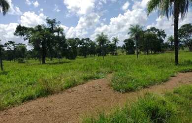 Imagem: A fazenda possui 142m² de Área e está localizado em Cristalândia