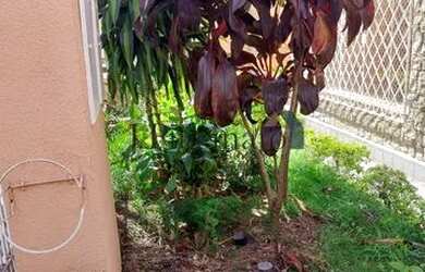 Imagem: A casa possui 4 Dormitórios, 2 Banheiros, 3 Vagas na garagem