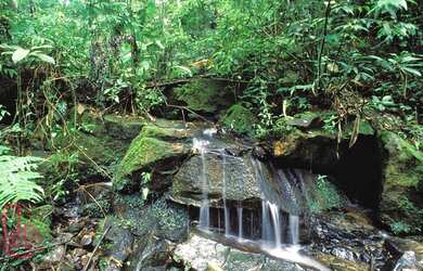 Imagem 14: Casa com 5 dormitórios, 824 m² - venda por R$ 12.000.000,00 ou aluguel...