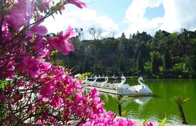 Imagem 7: Terreno - Bairro Dutra. Imóvel novoe450m² de Área