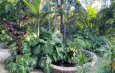 Imagem 16: Casa para venda com 6 quartos, 12336m² - Itaipava - Petrópolis/RJ