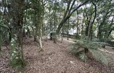 Imagem 5: Terreno à venda em Gramado Condomínio Lagos de Gramado