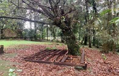 Imagem 8: Casa 2 dormitórios terreno de 3.695,68 m²