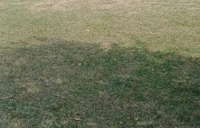 Imagem: O terreno possui 250m² de Área e está localizado em Piracangaguá