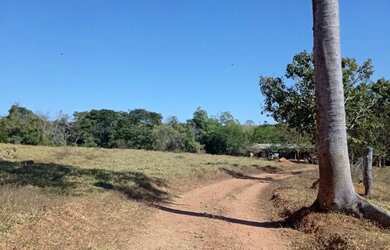 Imagem: A chácara possui 5m² de Área e está localizado em Bela Vista