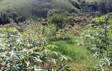 Imagem: A chácara possui 4m² de Área e está localizado em Jaguaripe