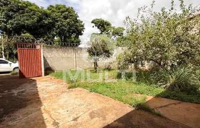 Imagem 6: Colonia - JARDIM BRASILIA