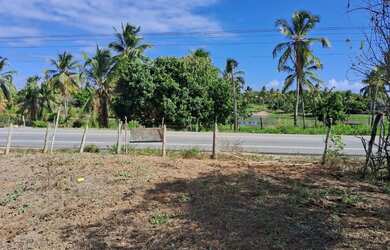 Imagem 4: Terreno Próximo à Praia e Dunas de Areia