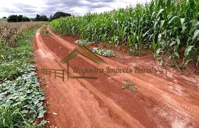 Imagem: A fazenda possui 48.400m² de Área e está localizado em Cesário