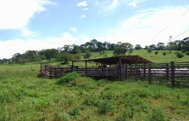 Imagem 12: Terezópolis de Goiás - Fazenda - Rural