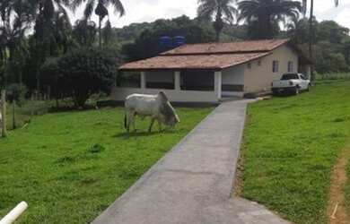 Imagem 2: Terezópolis de Goiás - Fazenda - Rural