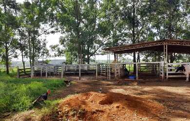 Imagem 5: Bela Vista de Goiás - Chácara - zona rural