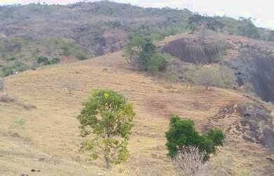 Imagem 5: Fazenda/Sítio/Chácara para venda com 78 alqueires em São Fidélis-RJ