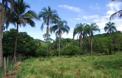 Imagem 6: Terezópolis de Goiás - Fazenda - Rural