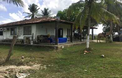 Imagem 8: 100 alqueires por R$6 milhões no Pará no asfalto