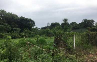 Imagem: O terreno possui 6.000m² de Área e está localizado em Jardim