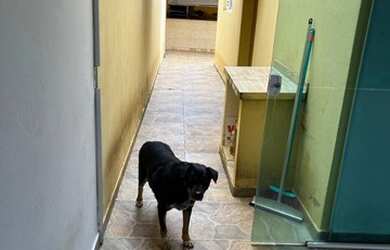 Imagem 7: Vendo casa - Avaré - interior SP