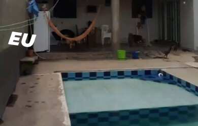 Imagem: A casa possui 2 Dormitórios, 1 Banheiro, 4 Vagas na garagem