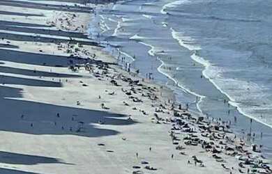 Imagem 16: Apartamento em frente ao mar da praia de Balneário Camboriú