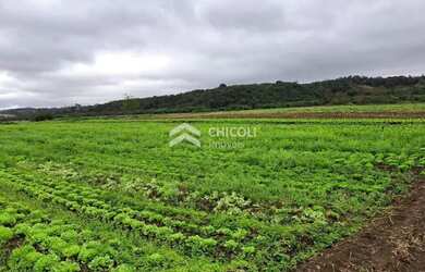 Imagem: O terreno possui 129.000m² de Área e está localizado em