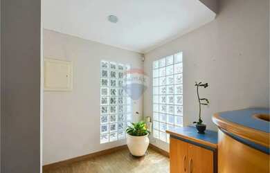 Imagem 5: Sobrado Comercial Versátil na Aclimação Rua Teodureto Souto