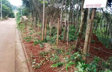 Imagem: 4 Chácaras juntas de 600 metros quadrados, 15m de frete e 40m