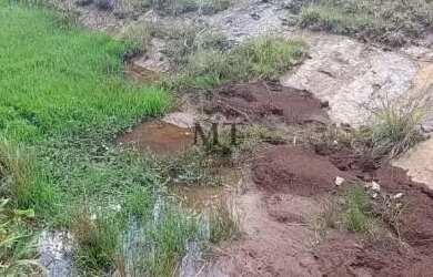 Imagem 6: Área de terra bairro Linha Imperial, Nova Petrópolis. RS Ref. 154