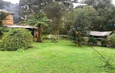 Imagem 6: Casa 2 dormitórios terreno de 3.695,68 m²