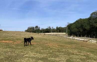 Imagem: A chácara possui 1.000m² de Área e está localizado em Planta