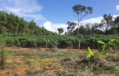 Imagem 2: Bela Vista de Goiás - Chácara - zona rural