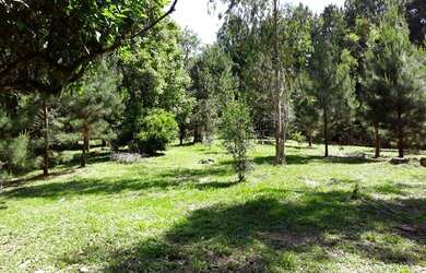 Imagem: O terreno possui 60.380m² de Área e está localizado em Canela